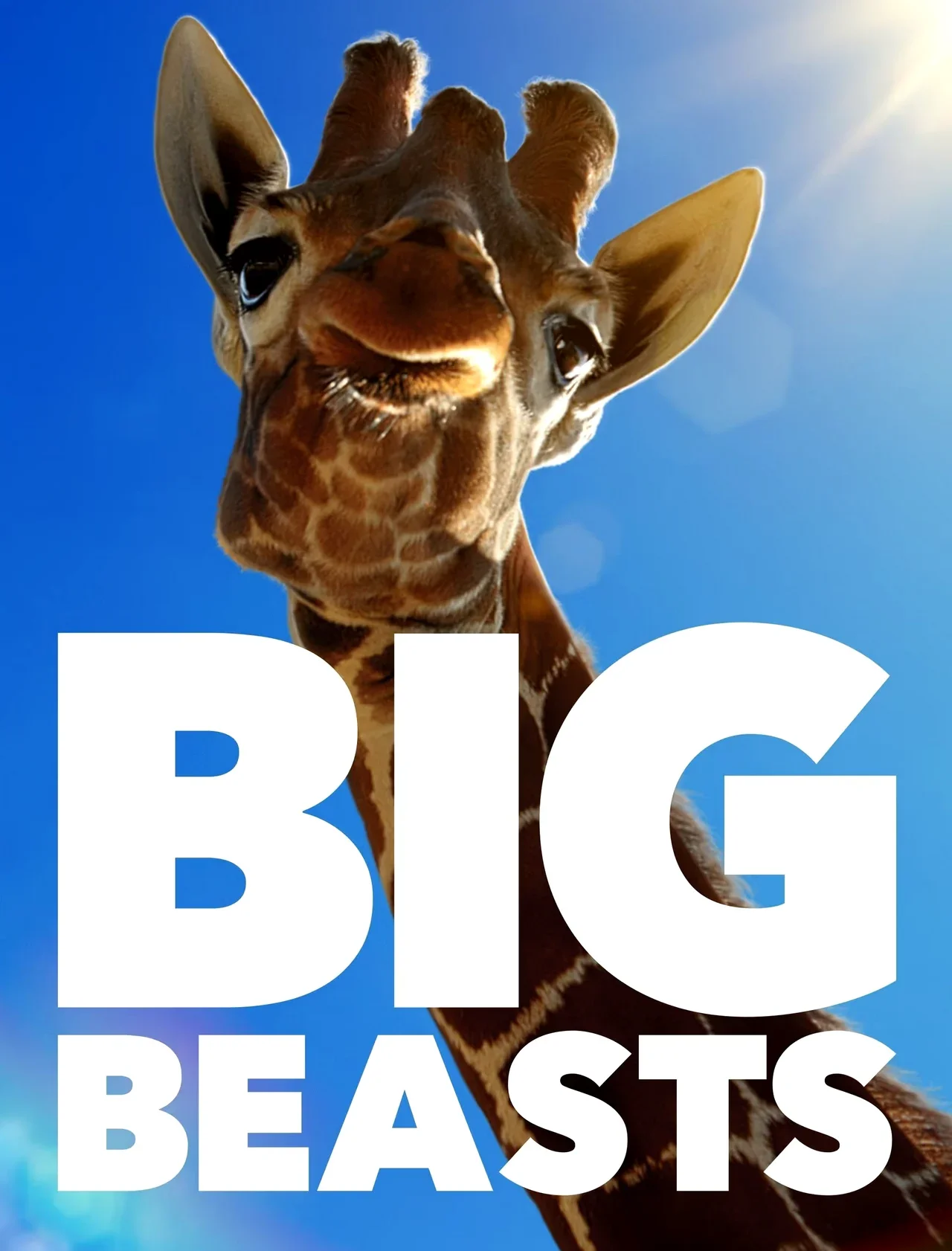 Big-Beasts-Season-1-WEB-DL-2160p-2023-HDVietNam.Top.webp