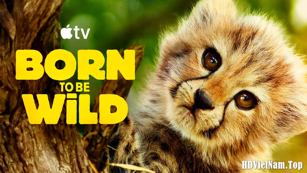 Born-to-Be-Wild-Season-1-2025-1080p-AC3-HDVietNam.Top.webp