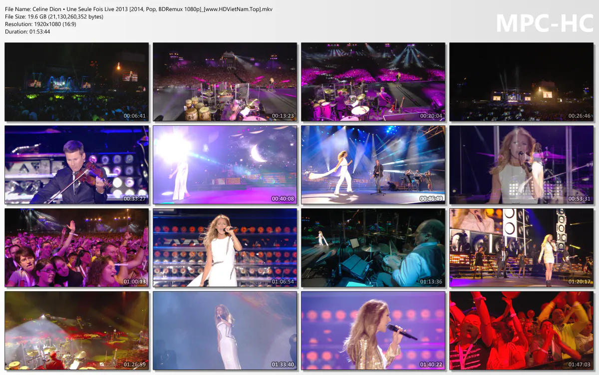 Celine Dion • Une Seule Fois Live 2013 [2014, Pop, BDRemux 1080p]_[www.HDVietNam.Top].mkv_thu...webp