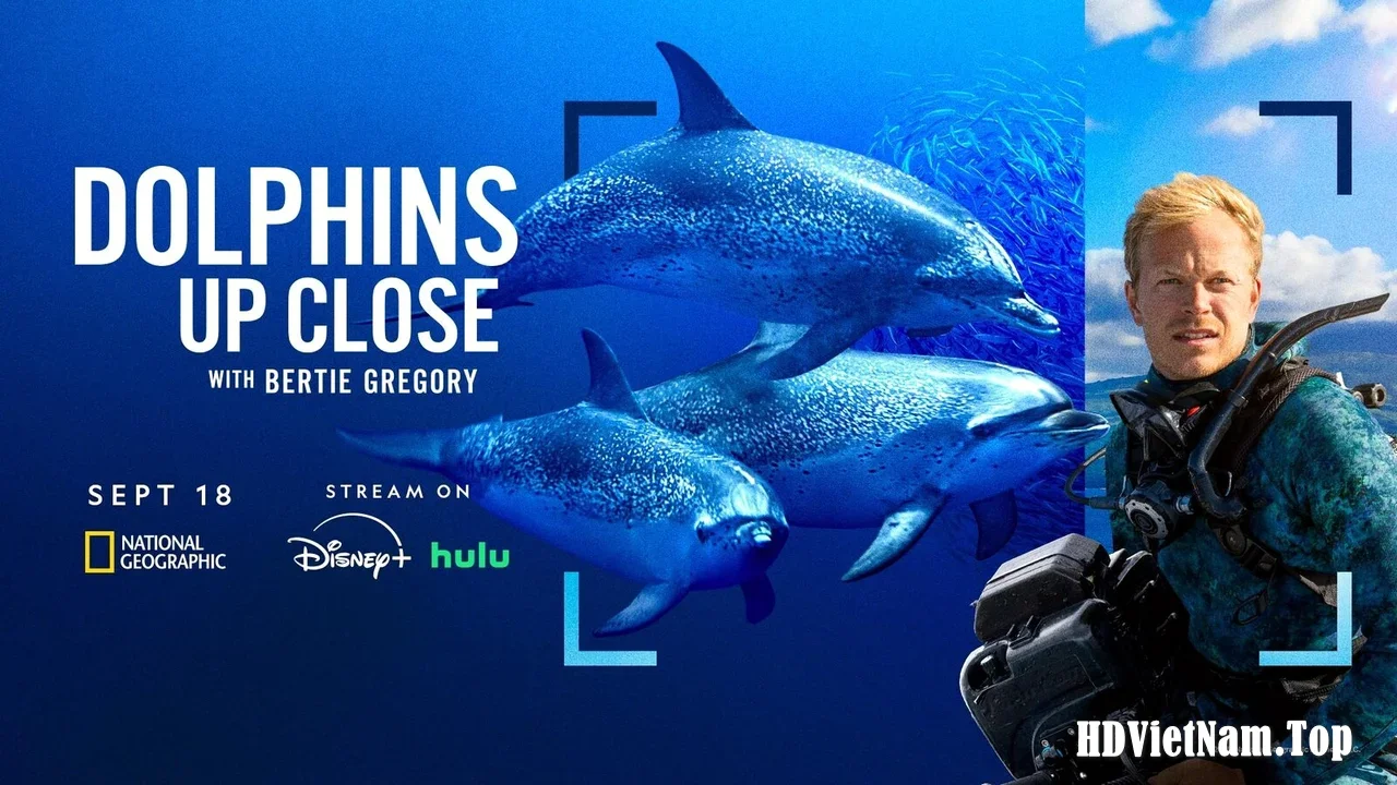 Dolphins.Up.Close.With.Bertie.Gregory.2025.HDR.2160p.HEVC.WEB.webp