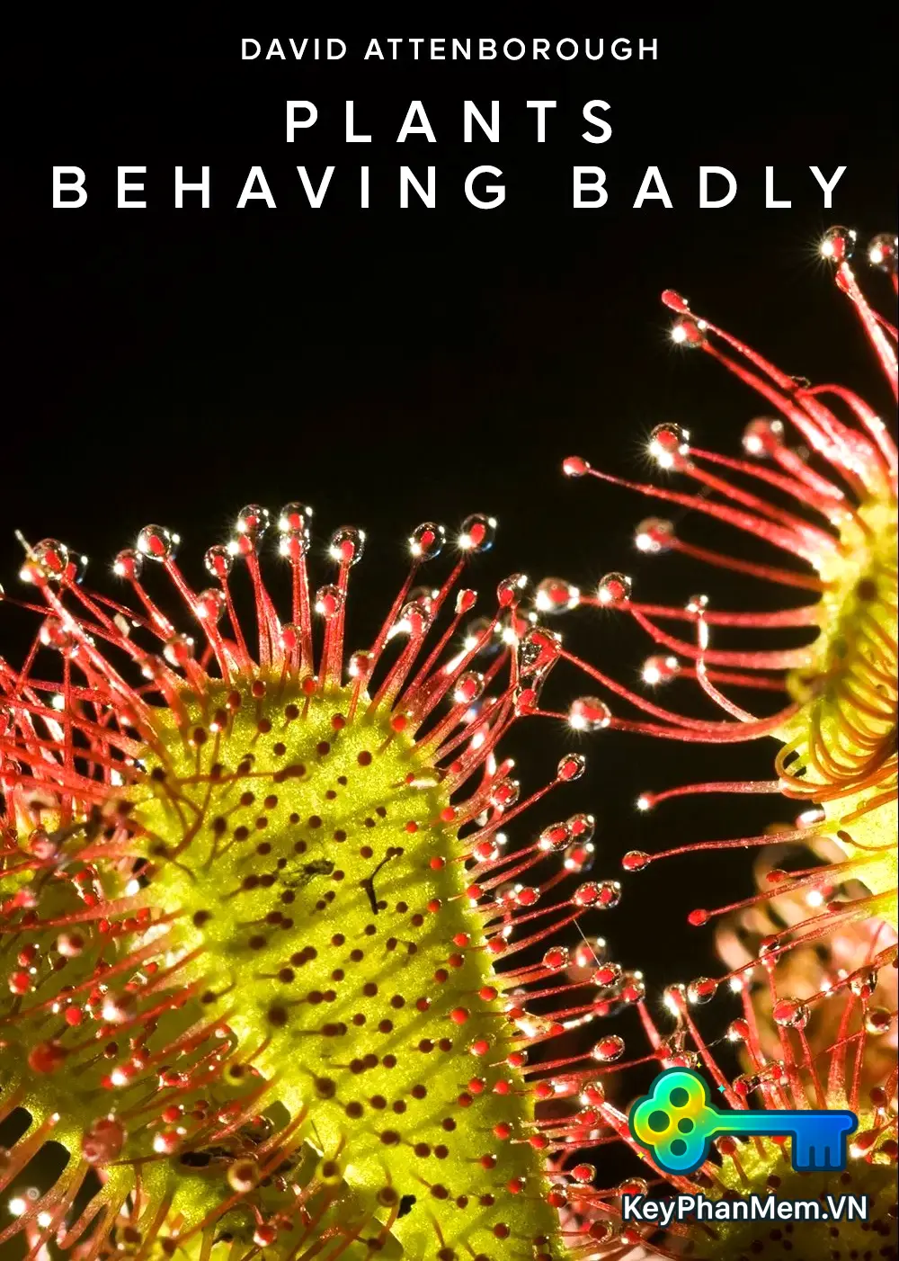 Plants-Behaving-Badly-2017-1080p-ViE -c0kE.webp