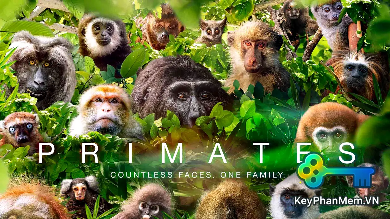 Primates-2020-1080p-VIE-KeyPhanMem.VN.webp