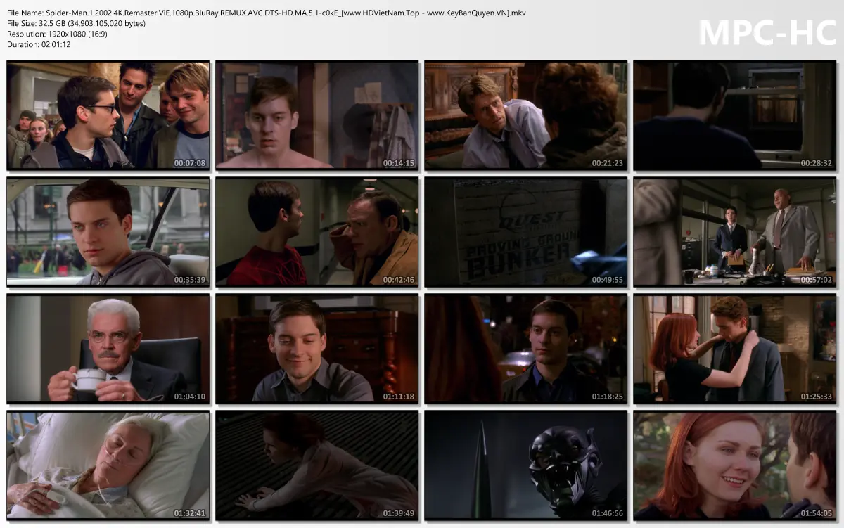 Spider-Man.1.2002.4K.Remaster.ViE.1080p.BluRay.REMUX.AVC.DTS-HD.MA.5.1-c0kE_[www.HDVietNam.To...webp