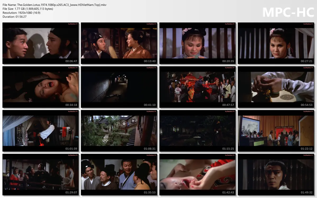 The.Golden.Lotus.1974.1080p.x265.AC3_[www.HDVietNam.Top].webp