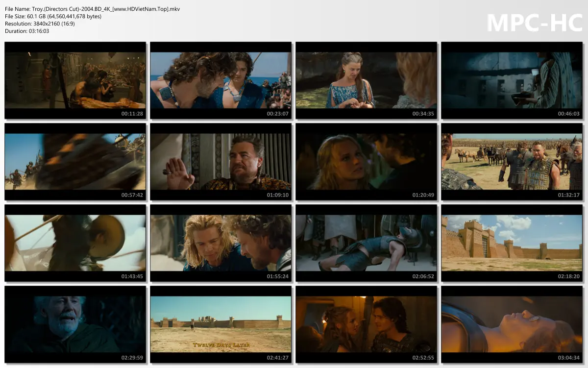 Troy.(Directors Cut)-2004.BD_4K_[www.HDVietNam.Top].webp