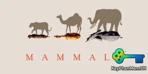 Phim-Planet Earth-Mammals-2024-100p-ViE.webp