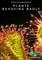 Plants-Behaving-Badly-2017-1080p-ViE -c0kE.webp