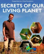 Secrets-of-Our-Living-Planet-2012-1080p-ViE-KeyPhanMem.VN.webp