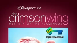 The-Crimson-Wing-Mystery-of-the-Flamingos-2008-ViE-HDVietNam.TOP.webp