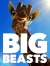 Big-Beasts-Season-1-WEB-DL-2160p-2023-HDVietNam.Top.webp