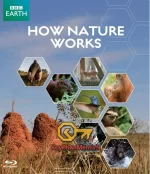 BBC-How-Nature-Works-1080p-2012-ViE-KeyPhanMem.VN.webp