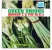 Booker T. & The M.G's - Green Onions (1962) - FLAC.webp